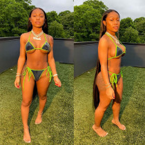 Sexy Bikini Two-piece MAE-2029