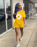 Plus Size Daisy Print T Shirt Shorts Two Piece Sets LDS-3218