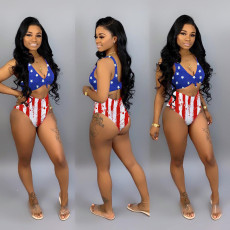 Plus Size Sexy America Flag Print Bikinis Sets SHD-9266
