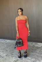 Solid Strapless Split Slim Maxi Tube Dress WSM-5161