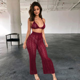 Fashion Knitted Mesh Cutout Perspective Long Pants Suit ZSD-046