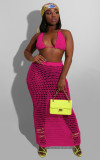 Sexy Grid Perspective Knitted Cutout Beach Smocked Suits ZSD-068