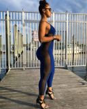 Sexy Mesh Patchwork Strap Skinny Jumpsuits MEM-8288