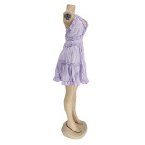 Sexy Backless Spaghetti Strap Big Swing Mini Dress AIL-104