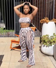 Sexy Mesh Perspective Two Piece Sets With Underpants ORY-5160
