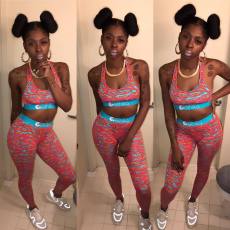 Casual Printed Tank Top Pants Two Piece Sets OD-8410