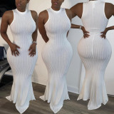 Plus Size Solid Sleeveless Rib Knitted Slim Maxi Dress BGN-095