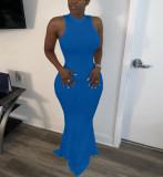 Plus Size Solid Sleeveless Rib Knitted Slim Maxi Dress BGN-095
