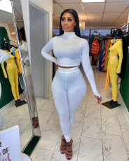 Solid Long Sleeve Tight Two Piece Pants Set FNN-8516
