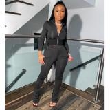 Solid Long Sleeve Zipper Two Piece Pants Set TK-6106
