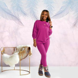 Casual Solid Long Sleeve Two Piece Pants Set SFY-155