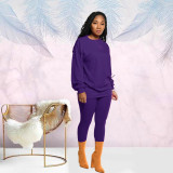 Casual Solid Long Sleeve Two Piece Pants Set SFY-155