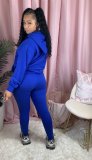Solid Hoodies Long Pants Thick Two Piece Jogger Sets AIL-116