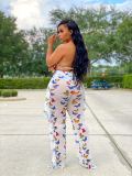 Sexy Butterfly Print Mesh Ruffled Pants Without Underpants LSD-8762