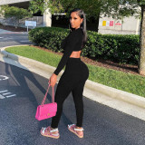 Solid Long Sleeve V Neck Yoga 2 Piece Pants Set GLF-8010