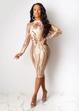 See-through Sexy Nightclub Sequin Dress CYA-8201-1