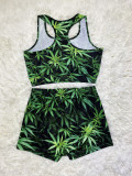 Sexy Printed Tank Tops And Shorts 2 Piece Sets SHD-9432