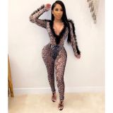 Snake Print Mesh See Through Bodysuit And Pants Set LM-8180