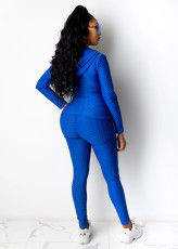 Solid Hooded Zipper Long Sleeves 2 Piece Pants Set XMY-9261