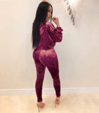 Casual Velvet Hooded Two Piece Pants Set QZX-6160