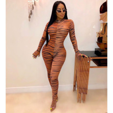 Sexy Zebra Stripe Mesh See Through Jumpsuits DMF-8094