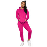 Solid Long Sleeve Hoodies Two Piece Sets IV-8131