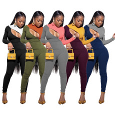 Contrast Color Rib  Zipper Tight Two Piece Pants Set IV-8132