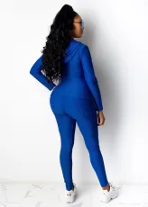 Solid Hooded Long Sleeve Zipper 2 Piece Pants Set CM-770