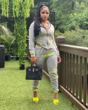 Casual Sporty Hooded Zipper Two Piece Pants Set LSL-6373-1