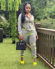 Casual Sporty Hooded Zipper Two Piece Pants Set LSL-6373-1