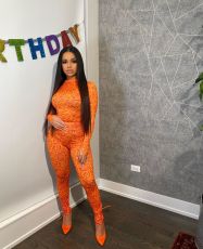 Sexy Print Two Piece Set DMF-8150