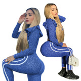 Fashion Ruffled Long Sleeve Two Piece Set LX-6876