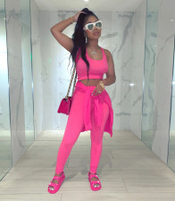 Solid Tanks+Long Sleeve Tops+Pants 3 Piece Sets JH-186