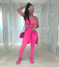 Solid Tanks+Long Sleeve Tops+Pants 3 Piece Sets JH-186