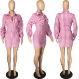 Plaid Long Sleeve Turndown Collar Zipper Mini Dress LM-8184