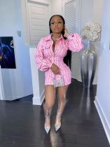 Plaid Long Sleeve Turndown Collar Zipper Mini Dress LM-8184