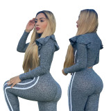 Fashion Ruffled Long Sleeve Two Piece Set LX-6876
