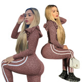 Fashion Ruffled Long Sleeve Two Piece Set LX-6876