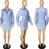Plaid Long Sleeve Turndown Collar Zipper Mini Dress LM-8184