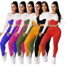 Casual Patchwork Long Sleeve 2 Piece Pants Set HM-6346