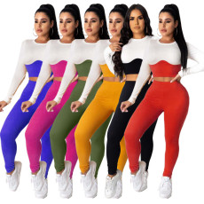 Casual Patchwork Long Sleeve 2 Piece Pants Set HM-6346