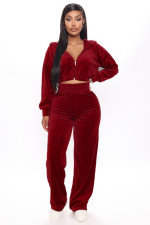 Solid Hooded Zipper Two Piece Pants Set LDS-3250