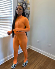 Casual Long Sleeve Split Pants Two Piece Sets LA-3225