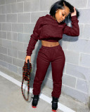 Casual Solid Color Sweatshirt Letter Print Two Piece Set LSD-8796