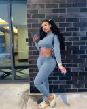 Solid Long Sleeve Slim Fit Two Piece Pants Set NIK-182