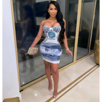 Dollar Print Sexy Bodycon Mini Tube Dress CHY-1253
