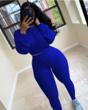 Casual Sports Ribbed Long Sleeve Two Piece Set NIK-174