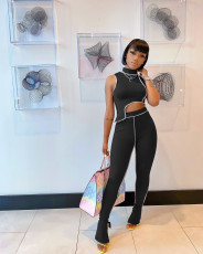 Sexy Sleeveless Two Piece Pants Set MAE-2067