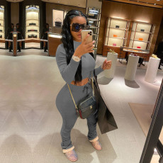 Plus Size Casual Solid Color Ruched Long Sleeve Two Piece Set TE-4002-1