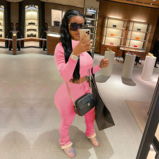 Plus Size Casual Solid Color Ruched Long Sleeve Two Piece Set TE-4002-1